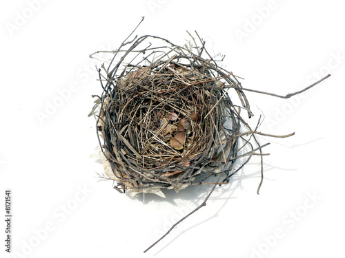 bird nest 08' 2