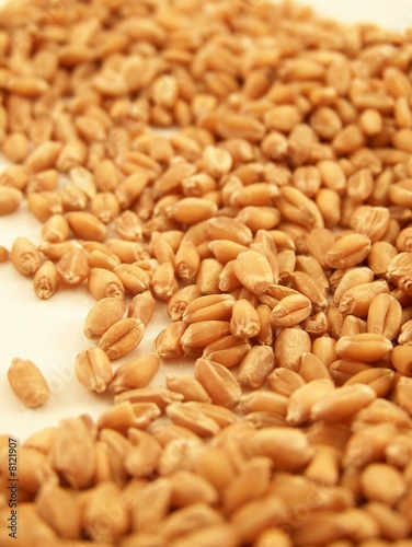 Wheat kernels