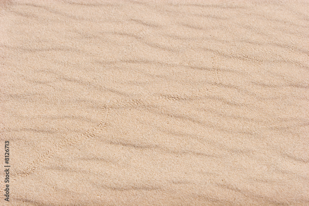 Sand texture with ripples Sand texture with ripples