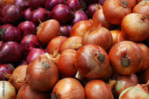 Beautiful onions
