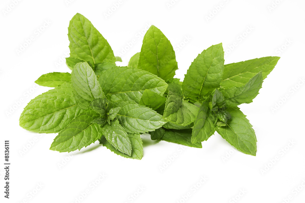 Fresh green mint leaves on white Fresh green mint leaves on white