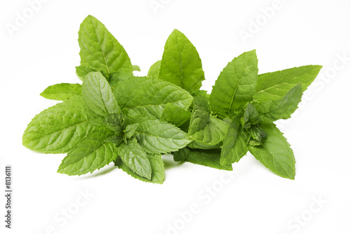 Fresh green mint leaves on white