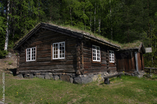 Norwegian house