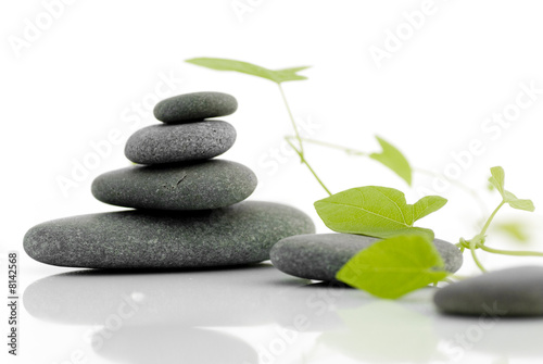 Zen serie - pebble on a white background with green plant
