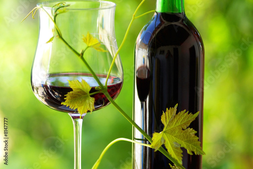 Glass and bottle of red wine with green leaf. #8147777