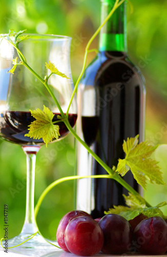 Glass and bottle of red wine with green leaf. #8147789