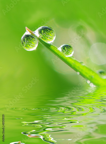 Dew and water