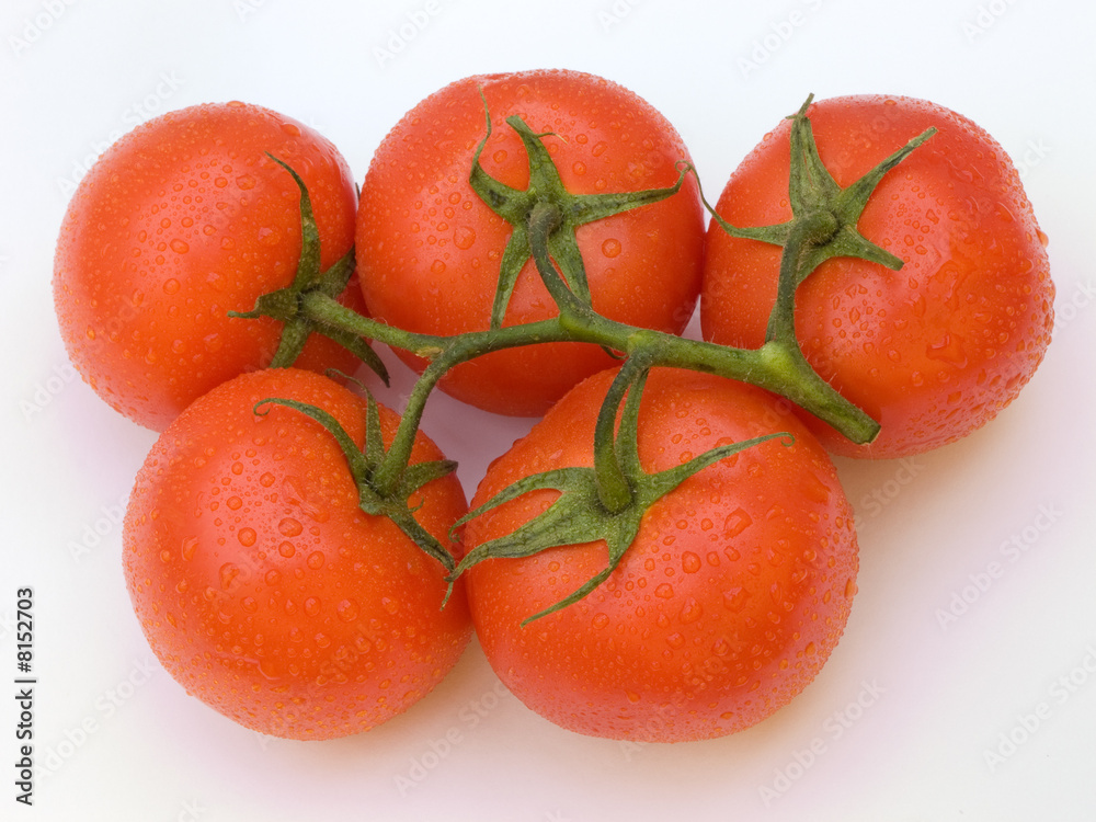 Five tomatoes with a white outline Five tomatoes with a white outline