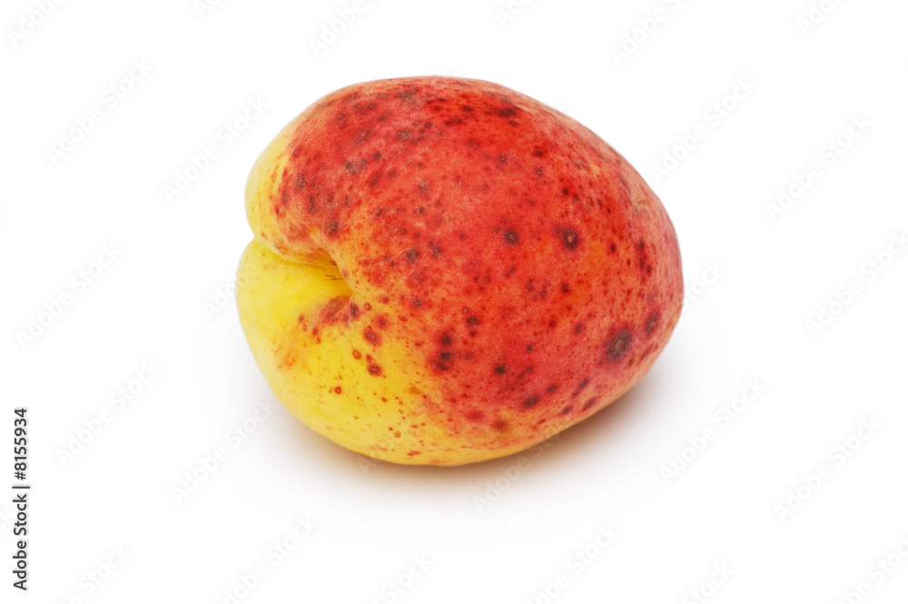Red apricot isolated on the white background Red apricot isolated on the white background