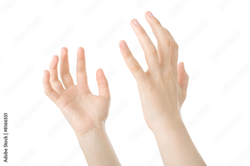 Hands open in prayer isolated on white background Hands open in prayer isolated on white background