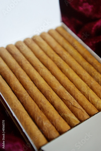 фотографія A close-up shot of stylish cigarillo package