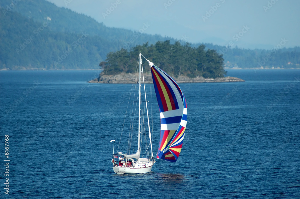 Fototapeta premium Sailing