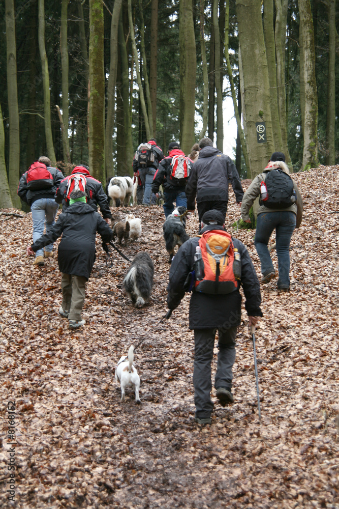 Hundewanderung Hundewanderung