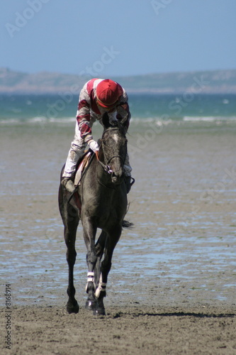 cheval,course,chevaux,galop  photo