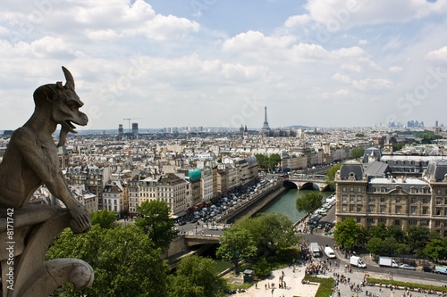 View from the Notre Dame
