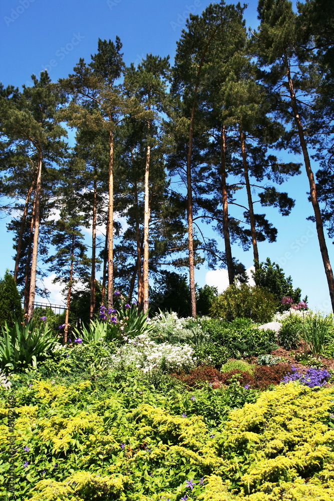 Fototapeta premium Park