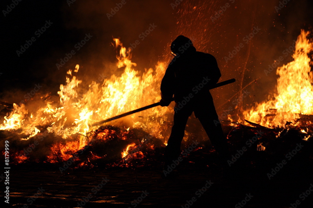 Fototapeta premium feu de forêt