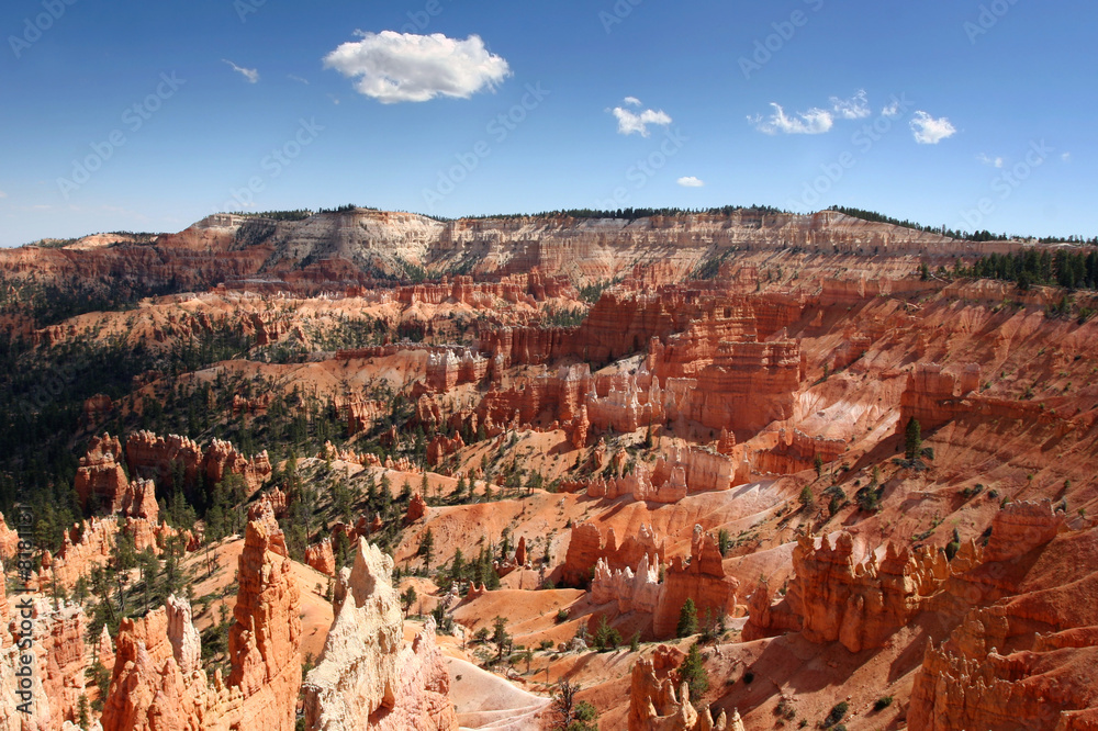 Bryce canyon Hoodoo