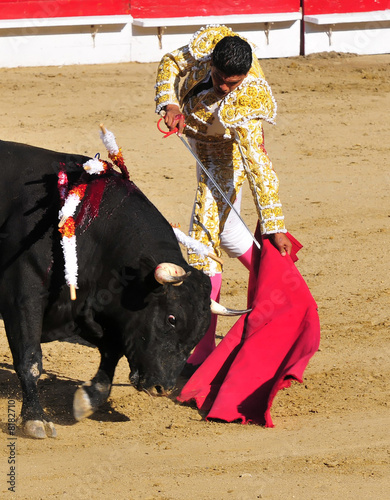 Matador & Bull