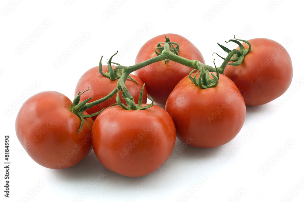 tomatoes on branch