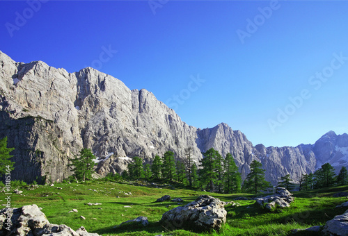 Alpine splendour photo