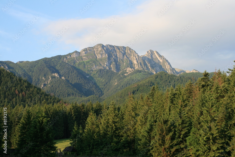 high mountain over the forest in sunny day