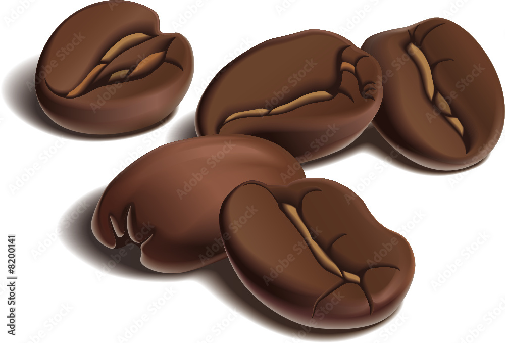 Roasted coffee beans on white background. Vector illustration. Roasted coffee beans on white background. Vector illustration.