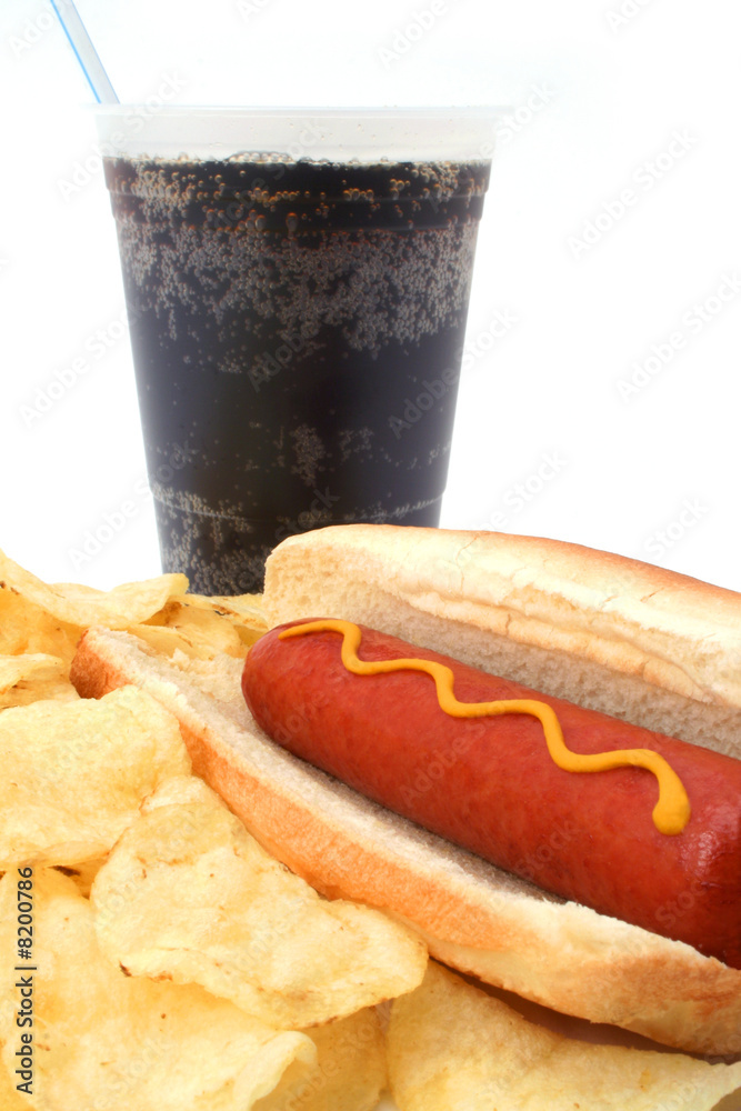 Combo Dog Brasil 3 – Hot Dog Brasil