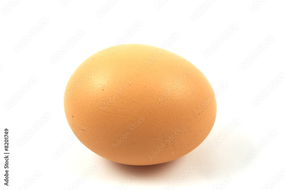 egg close up egg close up