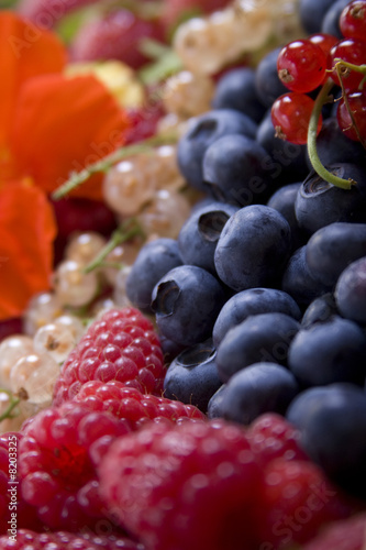 Groseilles et framboises