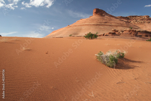 Desert scenic