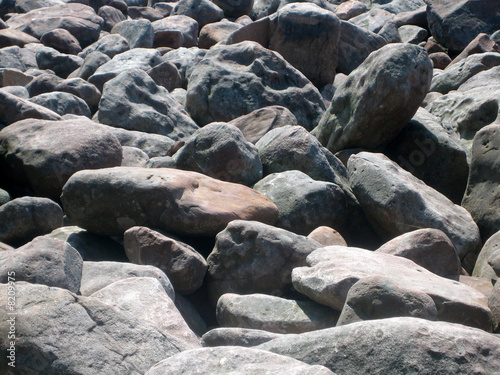 rocks