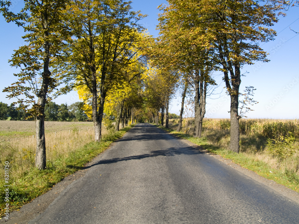 Obraz premium Straight route