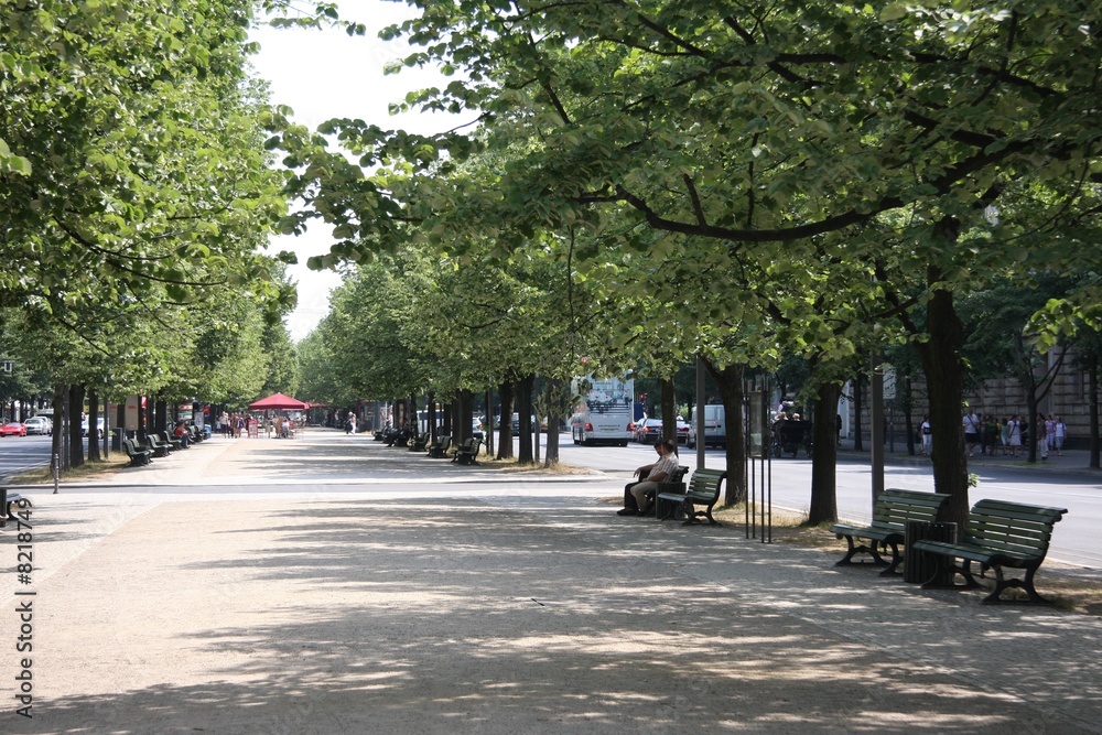 Fototapeta premium Unter den Linden