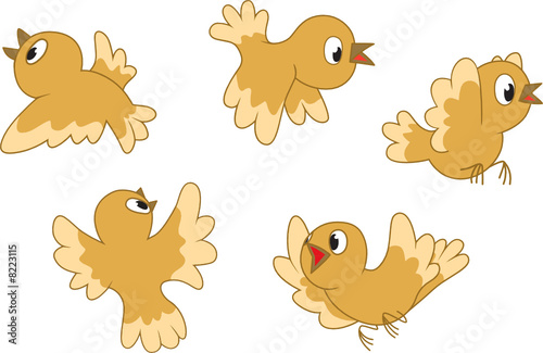 Five birds flying