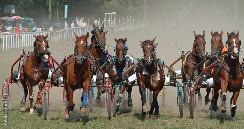 Trotteurs en course