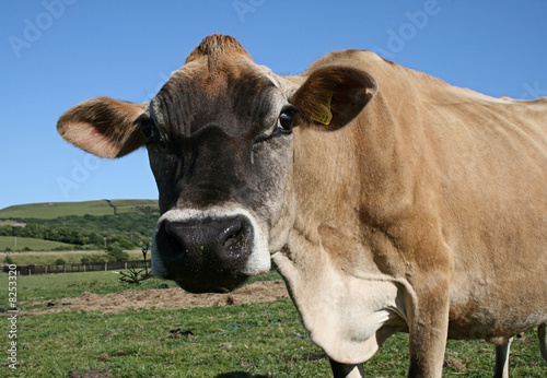 Here's looking at you!