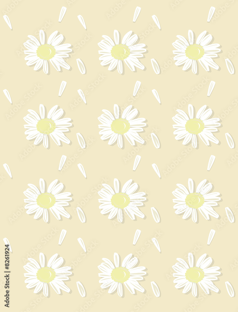 Background from camomiles