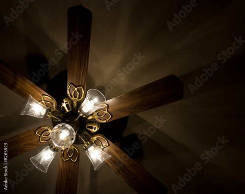 Ceiling Fan With Lights