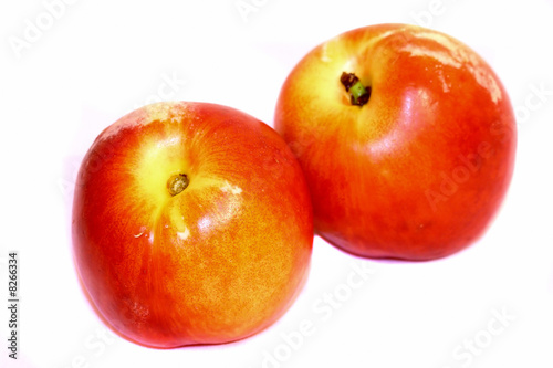 Two nectarines isolated on white