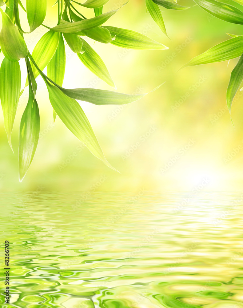 Leinwandbild Motiv - Nejron Photo : Bamboo leaves reflected in rendered water