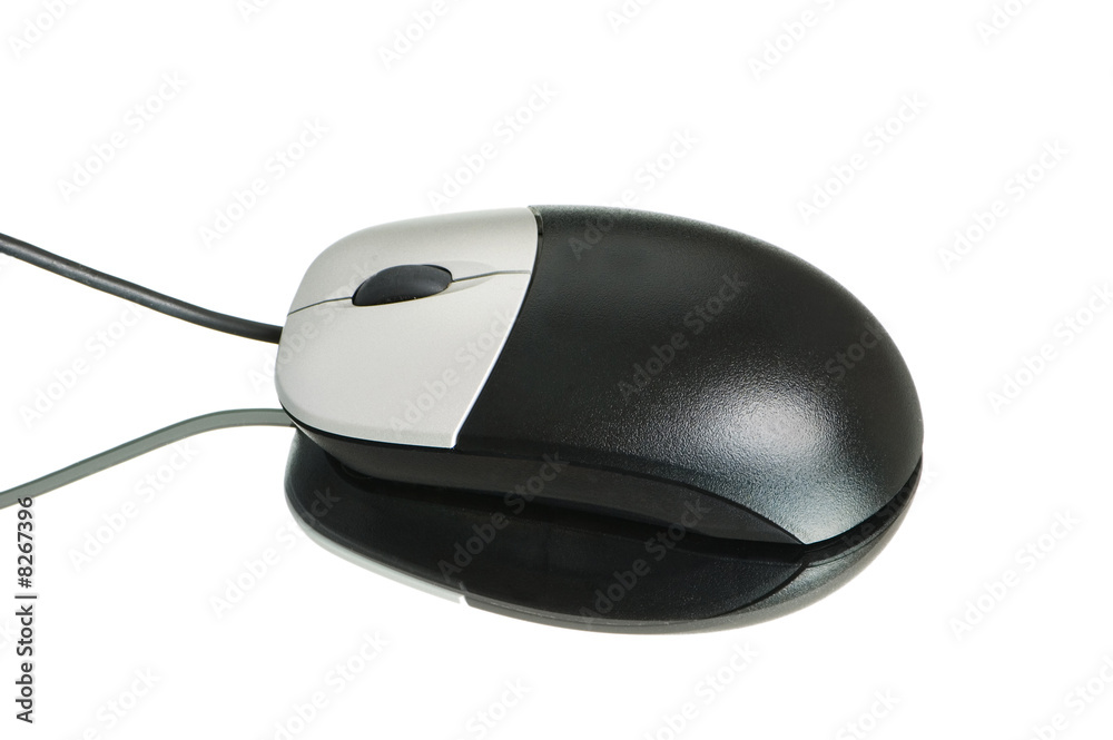 Computer mouse isolated on the white background Computer mouse isolated on the white background