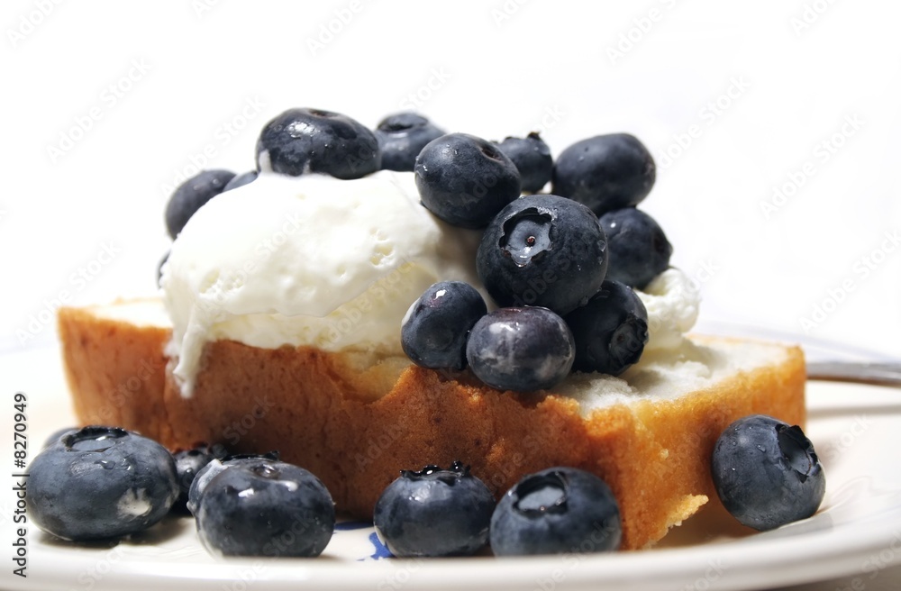 Blueberry Dessert