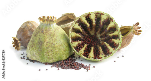 Poppz opium capsule with seeds