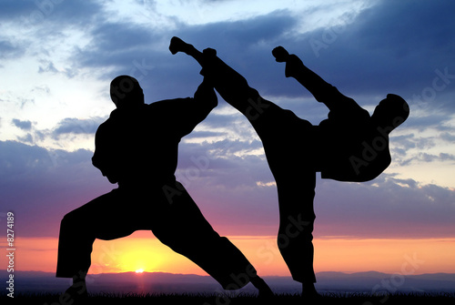 Fototapeta Martial art