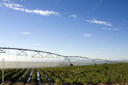 farm field and blue sky