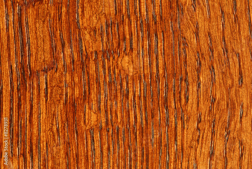 Slika na platnu Quarter Sawn Oak