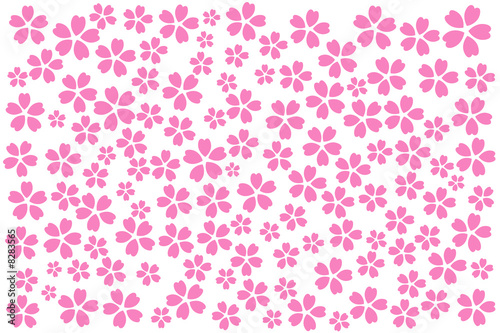 桜2