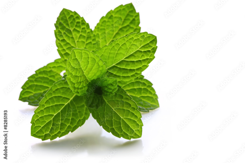 Mint Mint