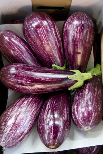 Wallpaper Mural Aubergines rouges Torontodigital.ca